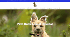 Desktop Screenshot of pilotknobah.com